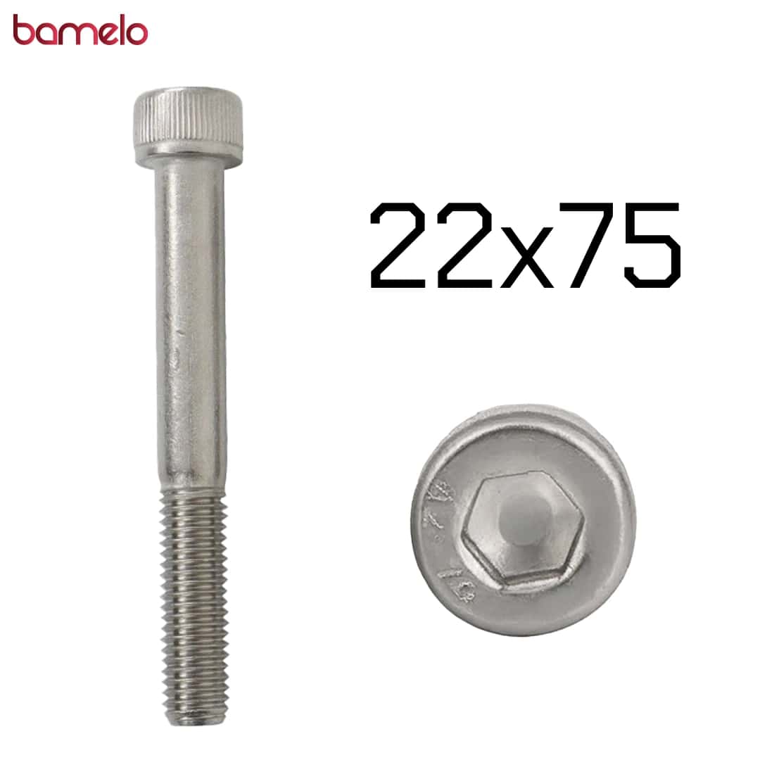پیچ آلن با سر نیم‌دنده 22x75
