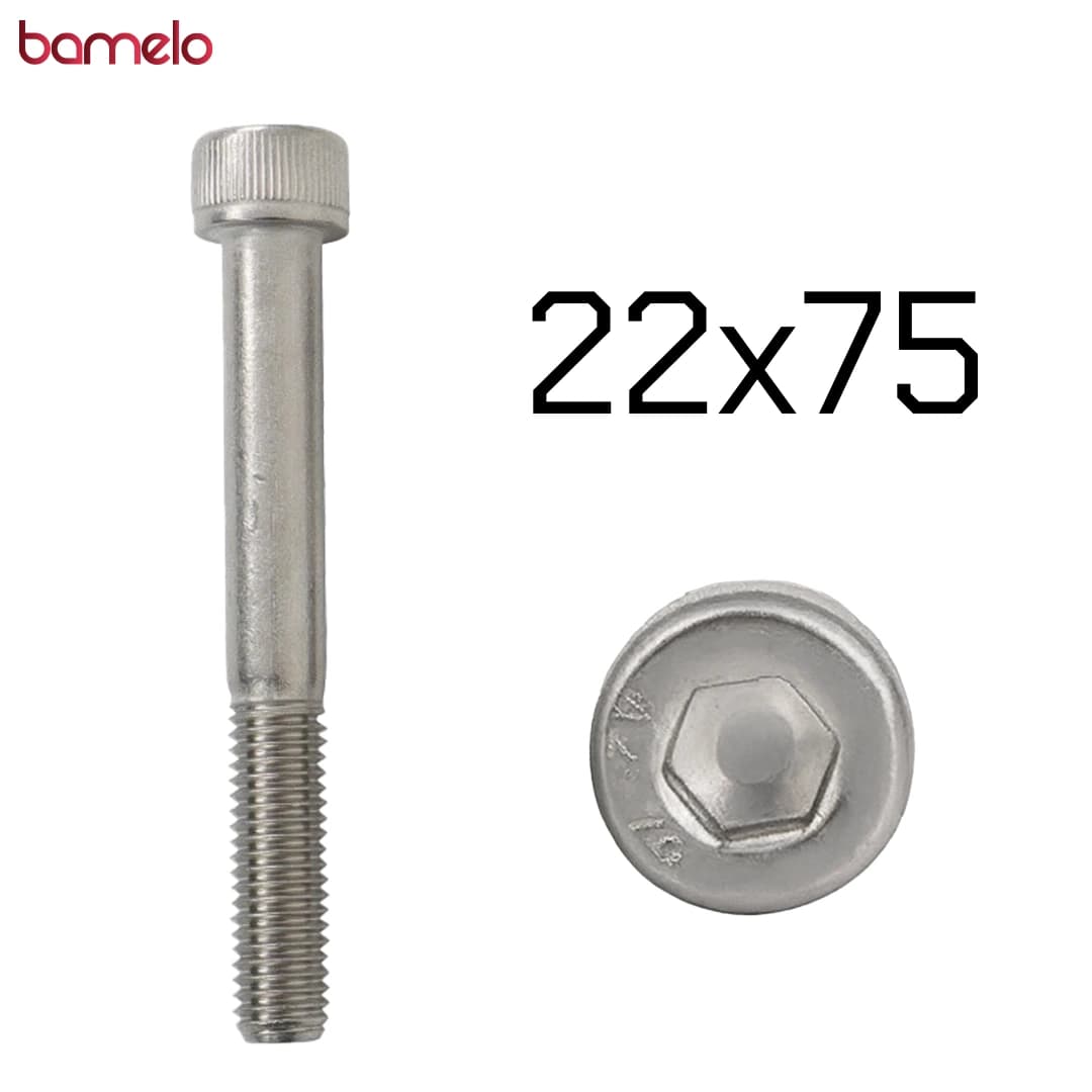 پیچ آلن با سر نیم‌دنده 22x75