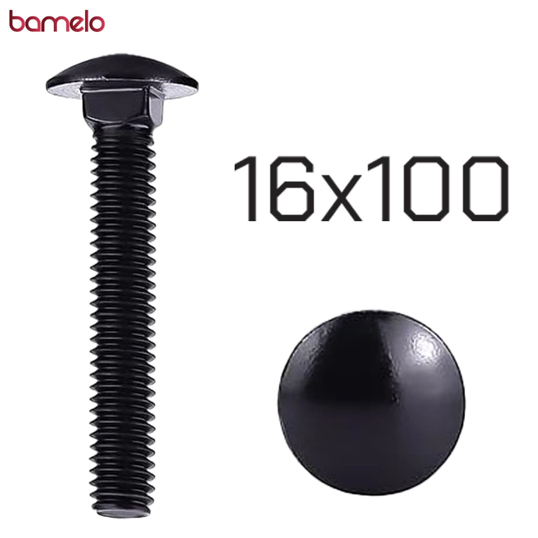 پیچ اتاقی 16 در 100