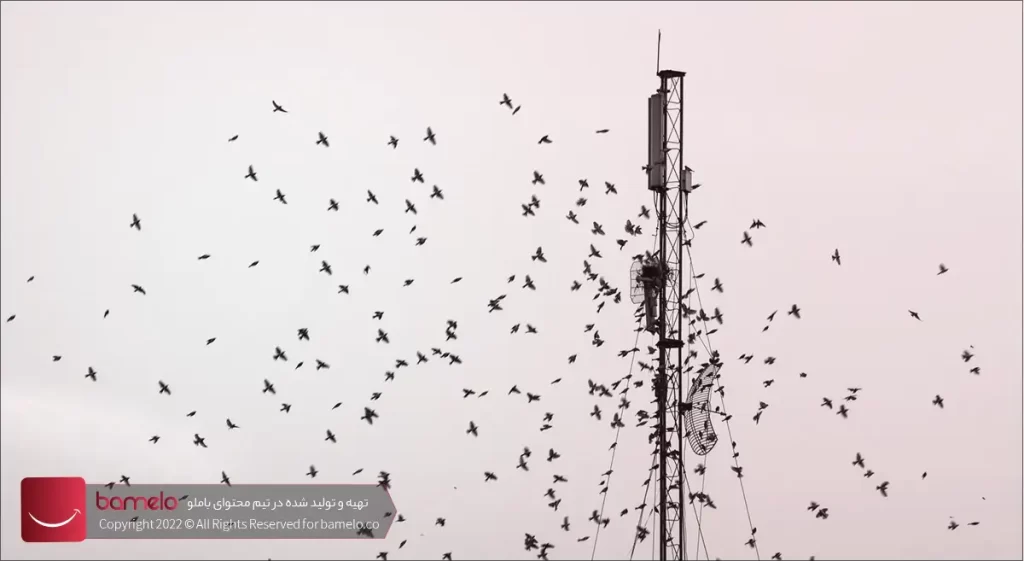 آیا دکل‌های مهاری برای انسان‌ها ضرر دارد؟